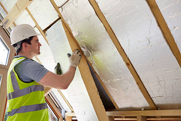 Best Insulation Installation Services in Ben Wheeler, TX